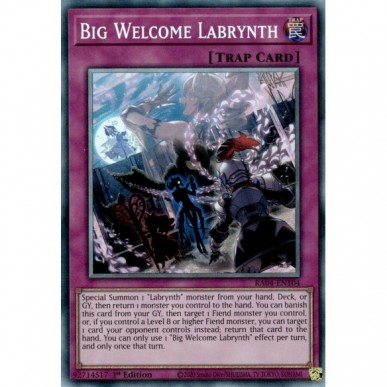 Big Welcome Labrynth (V.6 -...