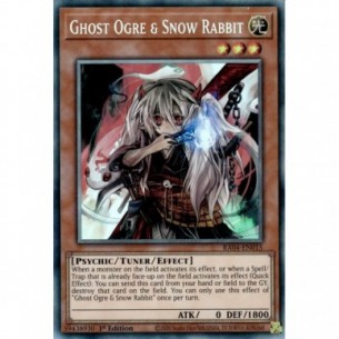 Ghost Ogre & Snow Rabbit...