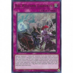 Big Welcome Labrynth (V.2 -...
