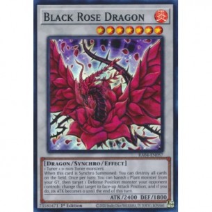 Drago Rosa Nera (V.1 -...