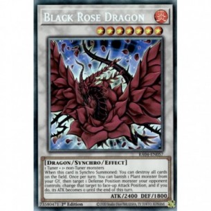 Black Rose Dragon (V.6 -...
