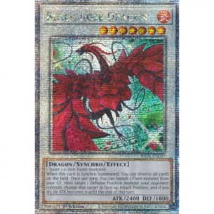 Drago Rosa Nera (V.5 -...