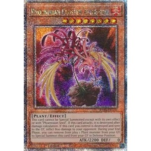 Phoenixian Cluster...