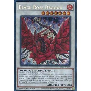 Drago Rosa Nera (V.3 -...