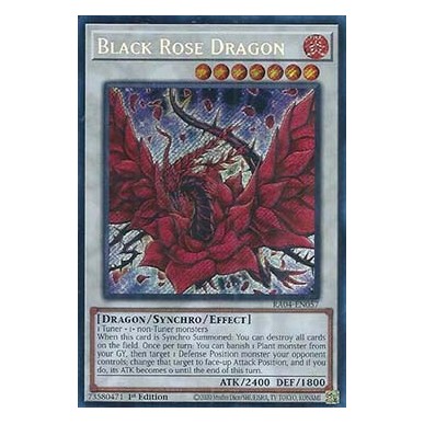 Black Rose Dragon (V.3 - Secret Rare)