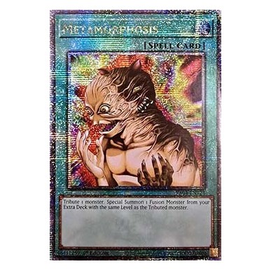 Metamorfosi (V.1 - Quarter Century...