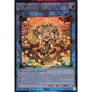 Traptrix Sera (V.4 -...