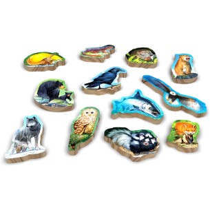 Canopy: Evergreen - Standard Edition (ENG) 2