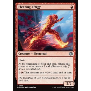 Fleeting Effigy