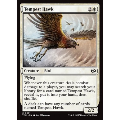 Falco della Tempesta