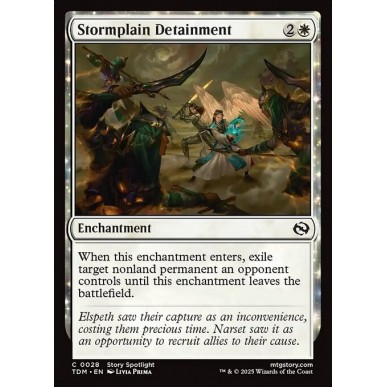 Stormplain Detainment