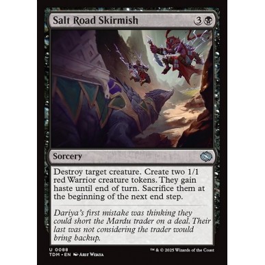 Salt Road Skirmish
