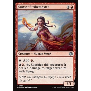 Sunset Strikemaster