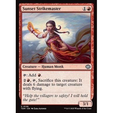 Sunset Strikemaster
