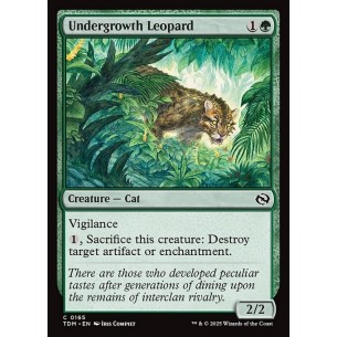Undergrowth Leopard