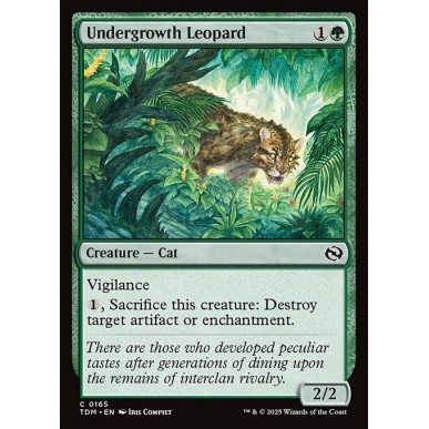 Undergrowth Leopard
