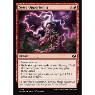 Seize Opportunity