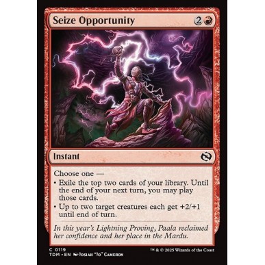 Seize Opportunity