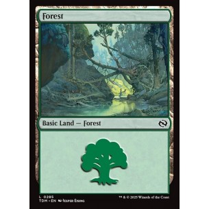 Forest