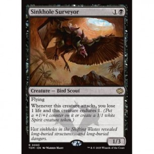 Sinkhole Surveyor