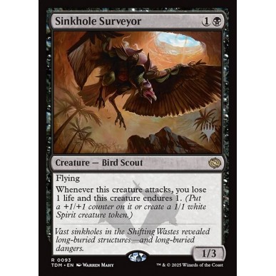 Sinkhole Surveyor