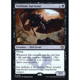 Sinkhole Surveyor
