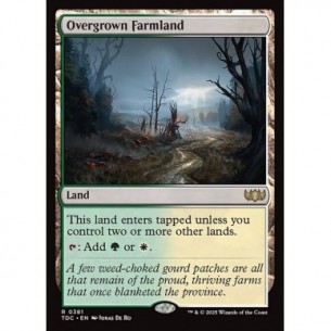 Overgrown Farmland