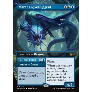 Marang River Regent // Coil...