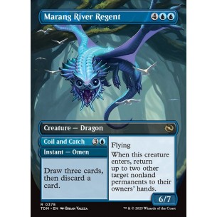 Marang River Regent // Coil... 2