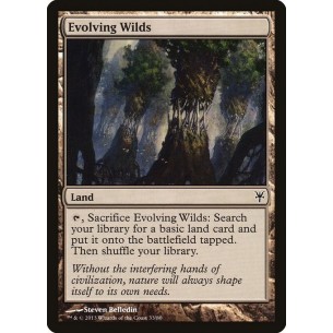 Evolving Wilds