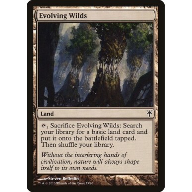Evolving Wilds