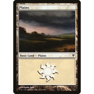 Plains