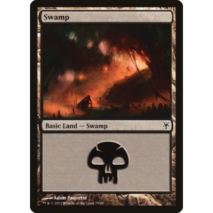 Swamp