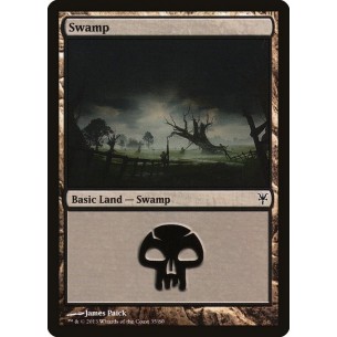 Swamp