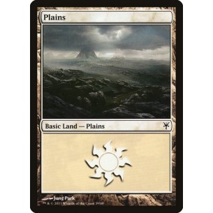 Plains