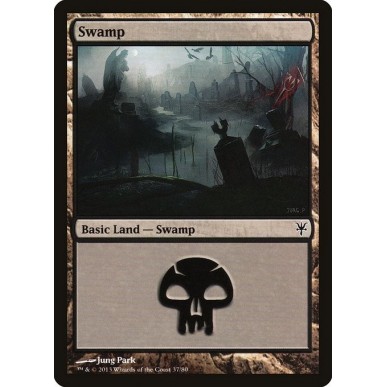 Swamp