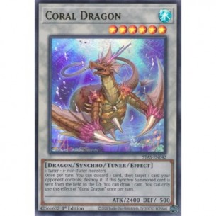 Drago Corallo