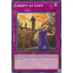 Libertà Finalmente!