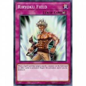 Terreno Riryoku