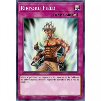Terreno Riryoku