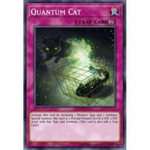 Gatto Quantico