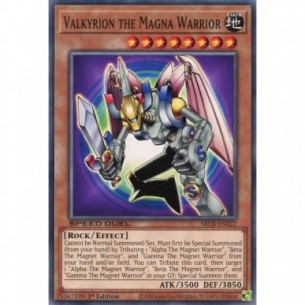 Valkyrion Guerriero...
