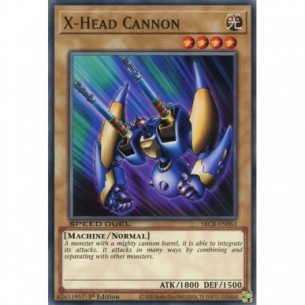 X-Testa Cannone