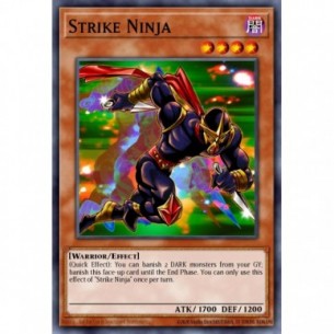 Ninja Fulmineo