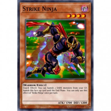 Ninja Fulmineo