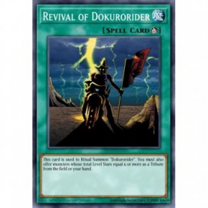 Rinascita di Dokurorider