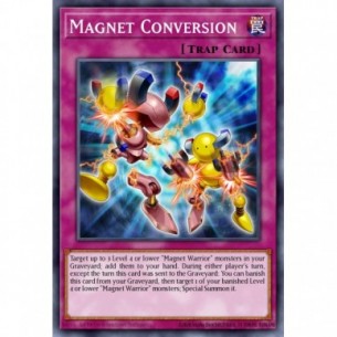 Conversione Magnetica