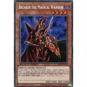 Breaker il Guerriero Magico...
