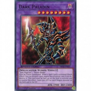 Paladino Oscuro (V.1 - Common)