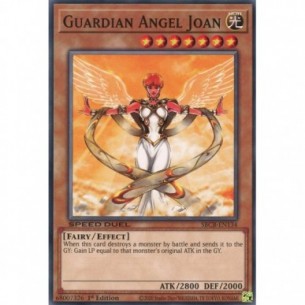 Joan Angelo Custode